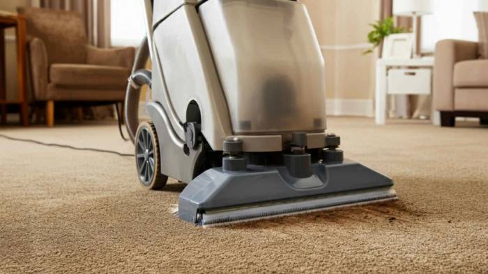 Pet owner in Perth receiving expert tips on keeping carpets clean and free from pet stains and odors