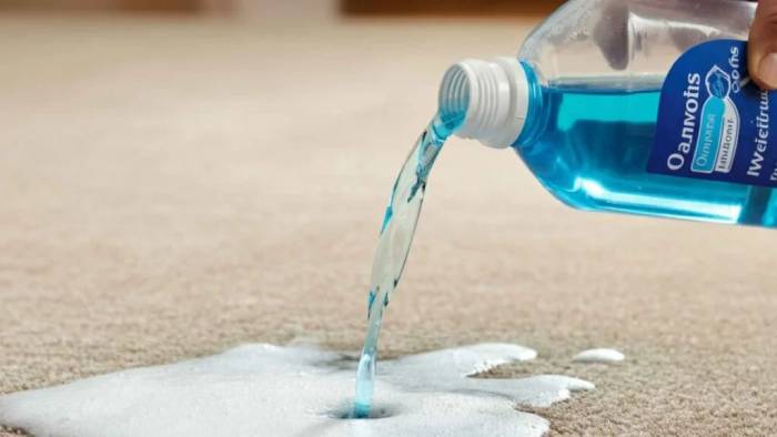 Common Carpet Cleaning Mistakes to Avoid