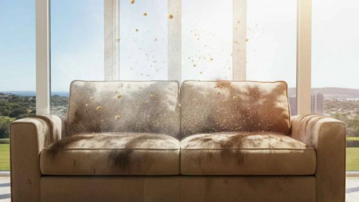 Why It’s Important to Clean Upholstery in Perth