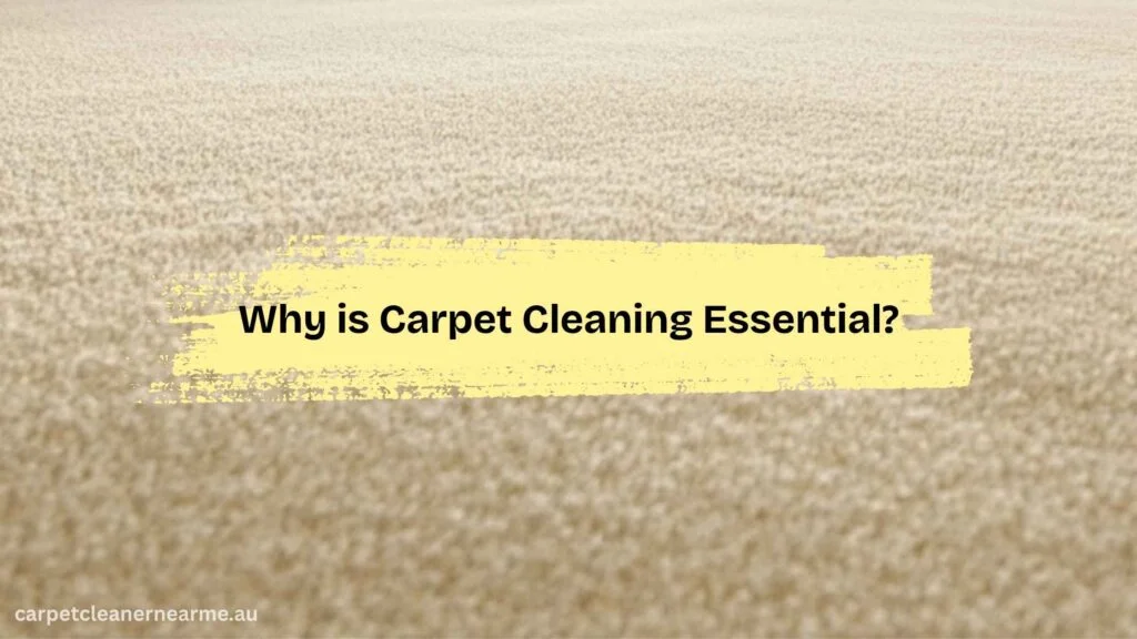 Why is Carpet Cleaning Essential?