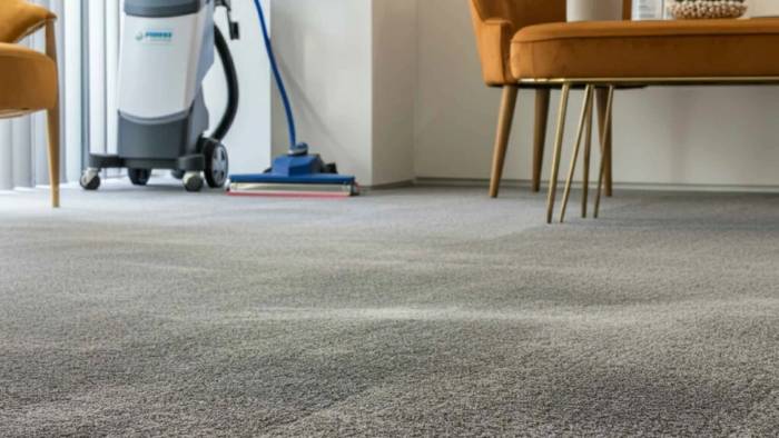 Professional Perth-based carpet cleaner providing expert cleaning services for homes and offices