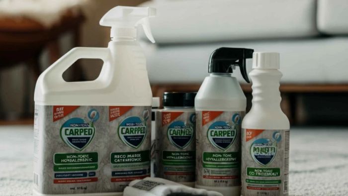 Top carpet cleaning products for maintaining clean carpets in Perth homes