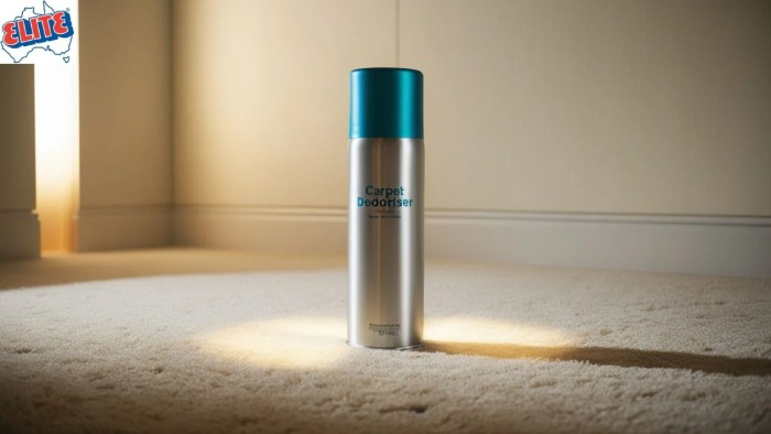 Home interior with clean carpet using the best carpet deodoriser for a fresh and inviting smell in 2024