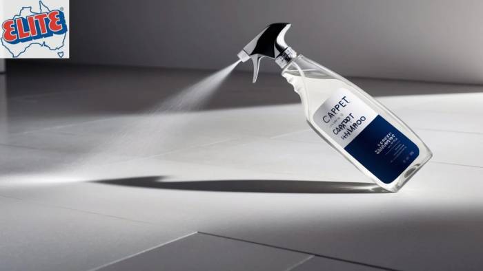 Carpet shampoo spray for cleaning carpets 2024