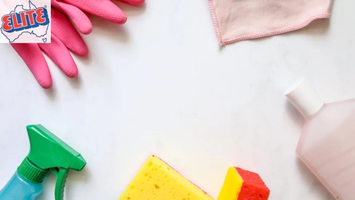 Top carpet shampoo spray for effective carpet cleaning 2024