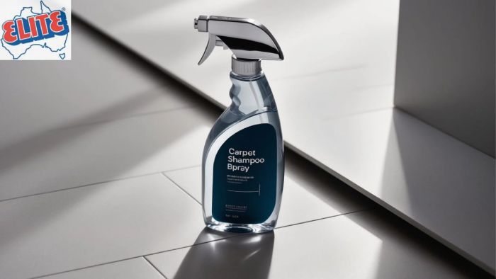 Important features in best spray carpet shampoo