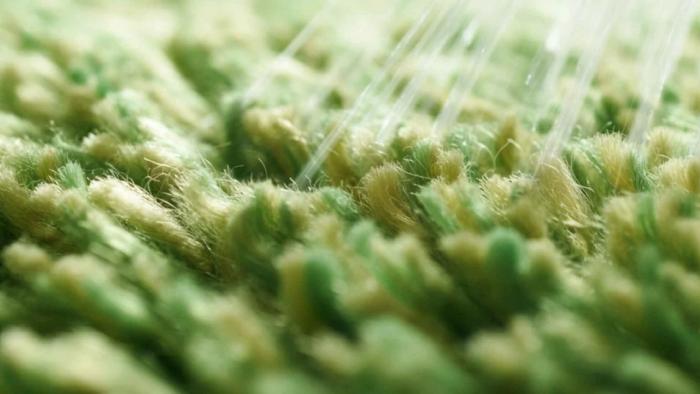 Homeowner in Perth selecting the best eco-friendly carpet cleaner for safe and effective cleaning.