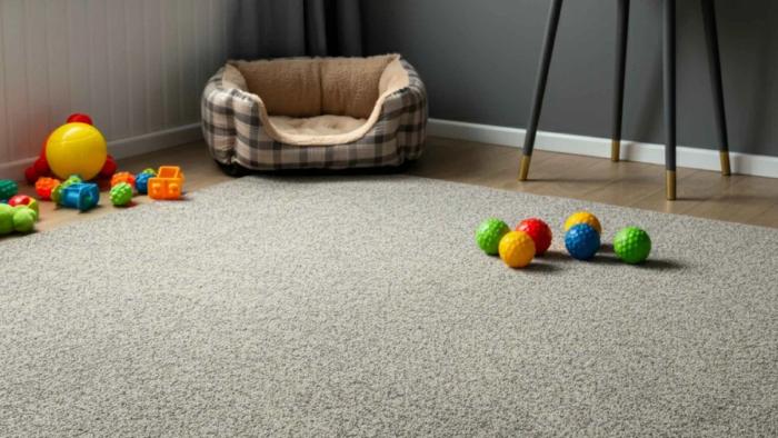 Pet Stain & Odor Removal Perth | Carpet Cleaning Tips for Pet Owners