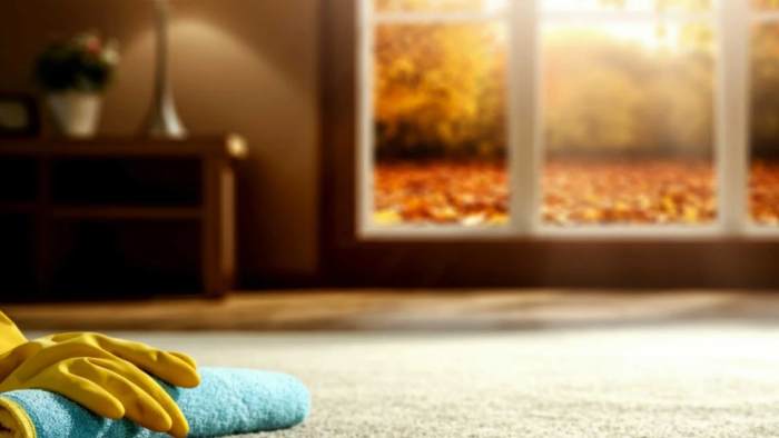 Illustration showing key factors that affect carpet cleaning costs for homes and businesses in Perth