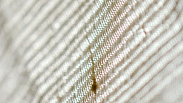 Oil stain on fabric using step-by-step cleaning techniques, demonstrating safe and effective stain removal methods