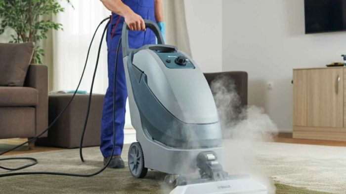 Professional full carpet cleaning process giving a home a deep and fresh clean