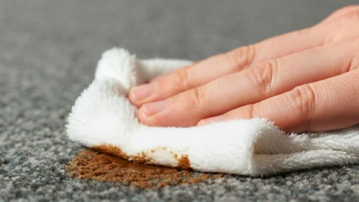Spot cleaning small carpet stains using quick and easy cleaning methods