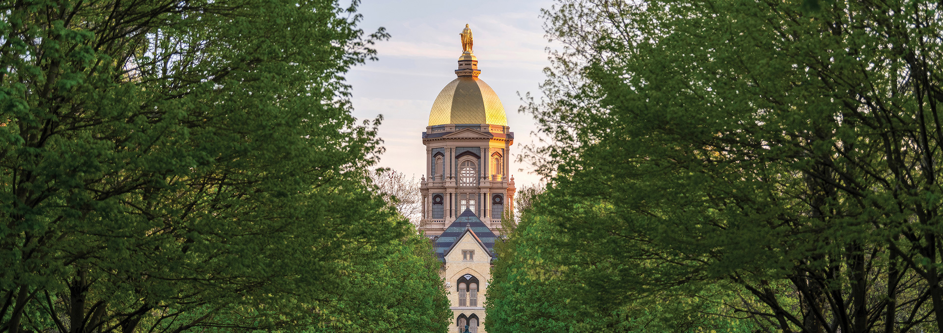 The Pulte Institute for Global Development